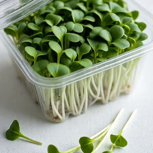 Harvested & Packed Microgreens in Box